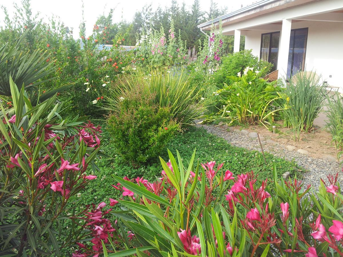 La Maravilla Lodge Vilches Exterior photo